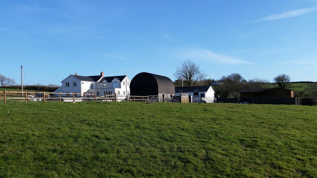 Hotel Pantysgyfarnog Near Carmarthenshire Pembrokeshire Exteriér fotografie